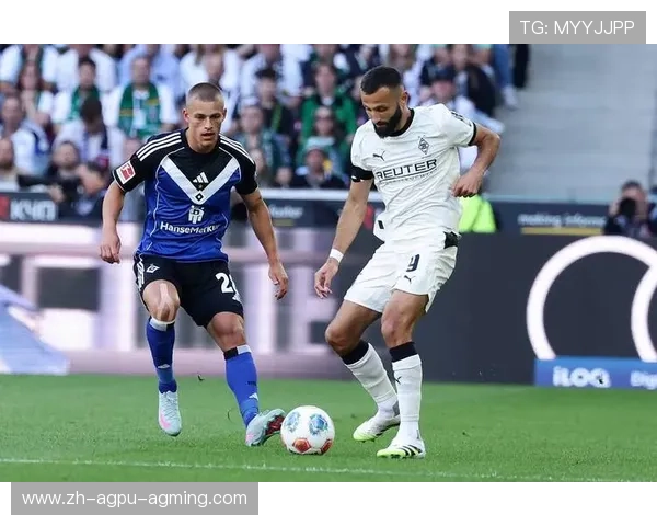 德甲左派球队名单及其体育竞技文化背景