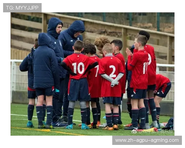 法甲各俱乐部青训成果统计与未来之星培养情况