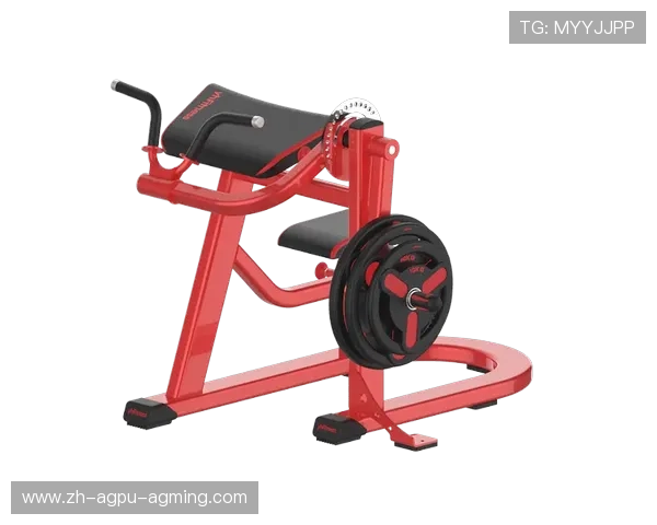 针对性强化三头二头特殊训练器材盘点 针对性强化三头二头特殊训练器材盘点