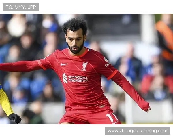 他信收购英超球队的详细流程与政策细则全解读 他信收购英超球队的详细流程与政策细则全解读